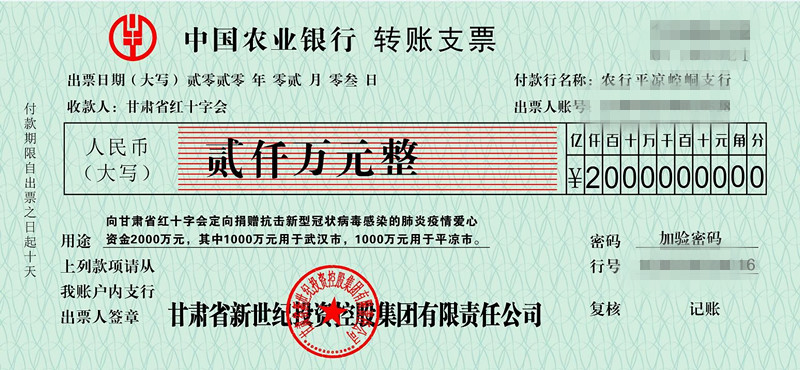 新世纪集团转账支票（定图）_副本.jpg