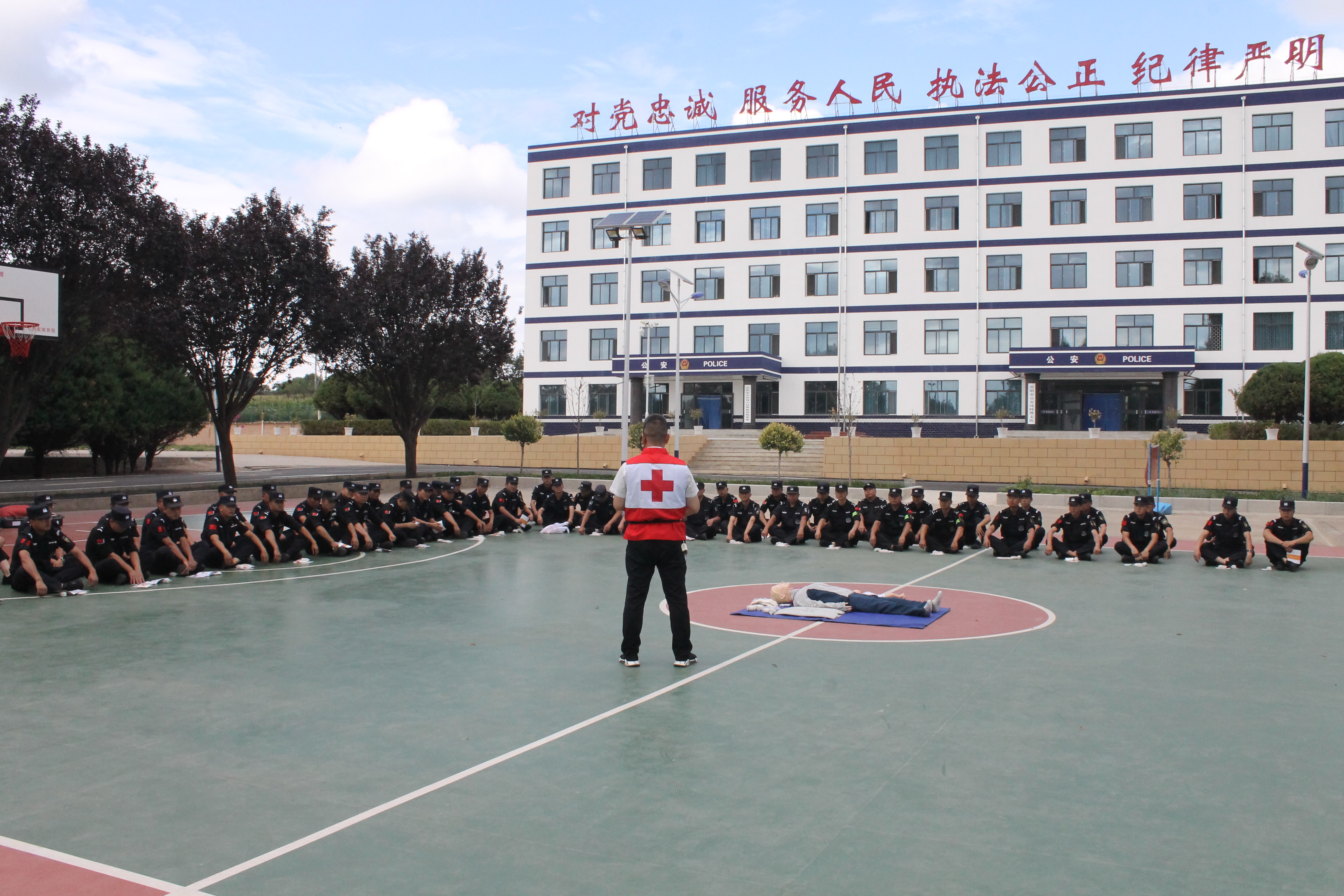 图片1.JPG