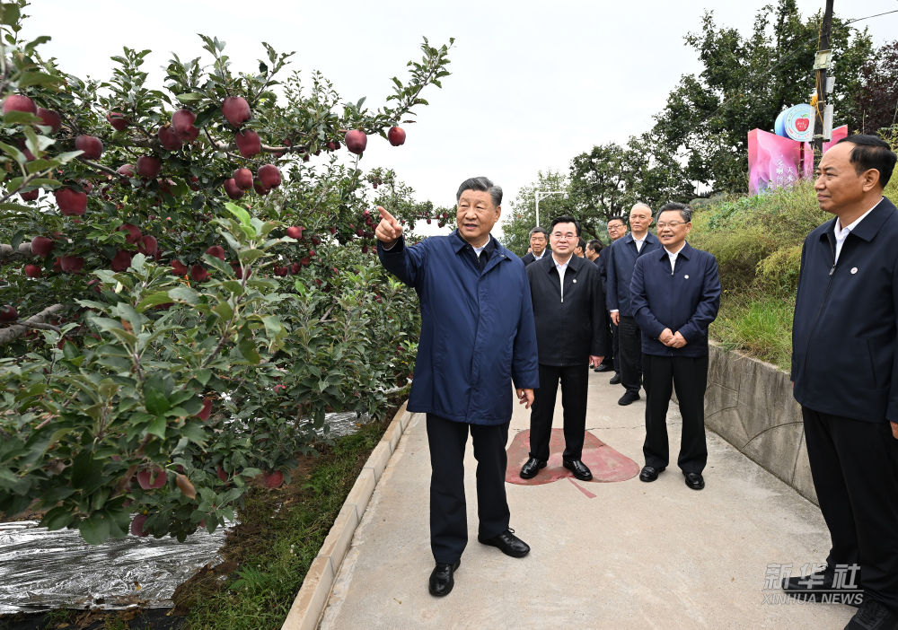 38.7.习近平在陕西宝鸡市和甘肃天水市考察调研.jpeg