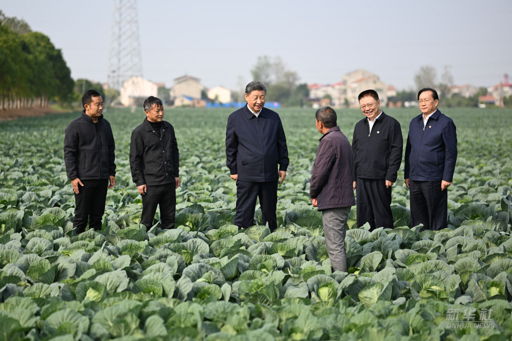 65.5.习近平在湖北考察调研.jpeg