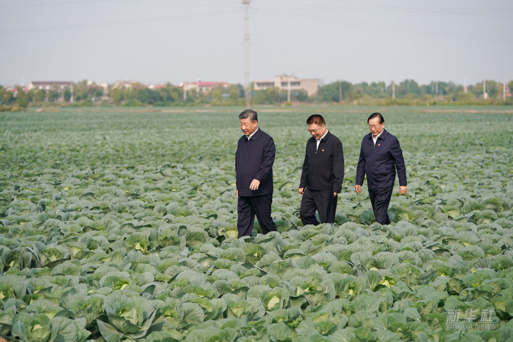 65.6.习近平在湖北考察调研.jpeg